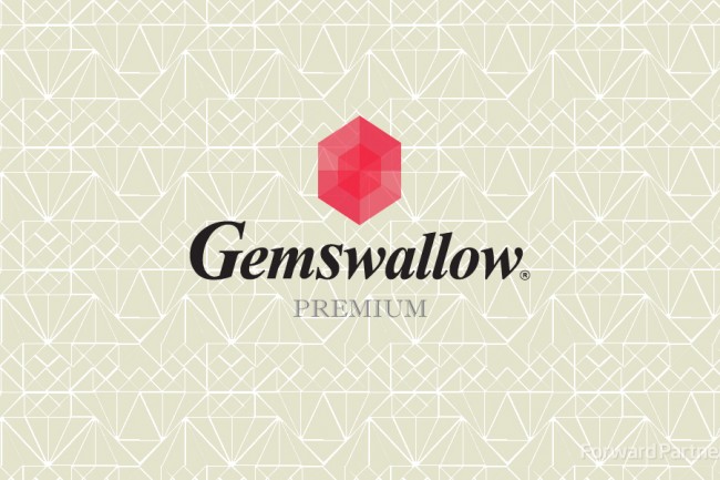 잼스왈로우 (Gamswllow)